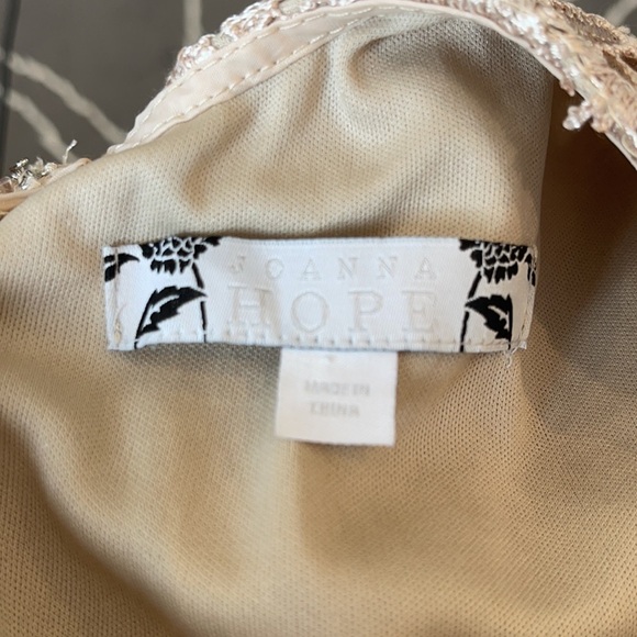 Joanna Hope Embroidered  Lace Ilusion Sheath Dress - Picture 7 of 10